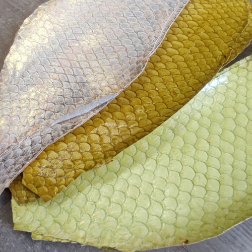 Кожа рыбы 0,7 мм Карп глянец фото 12