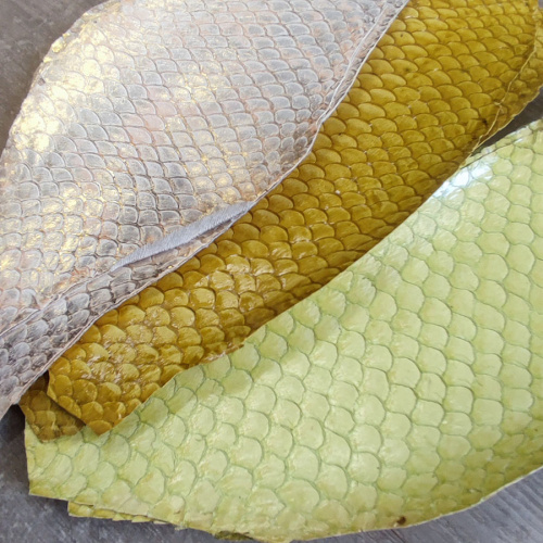 Кожа рыбы 0,7 мм Карп глянец фото 9