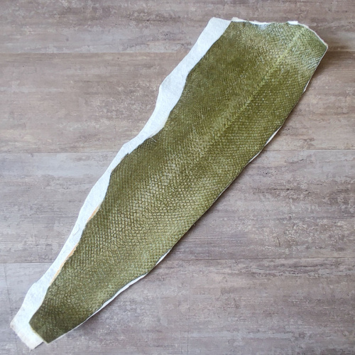 Кожа рыбы 0,7 мм Лосось зеленые оттенки фото 5 Кожа рыбы 0,7 мм Лосось зеленые оттенки фото 5