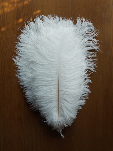 Перо страуса 20-25 см  фото 15