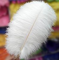 Перо страуса 40-45 см Белое  - купить для кожевенного хобби