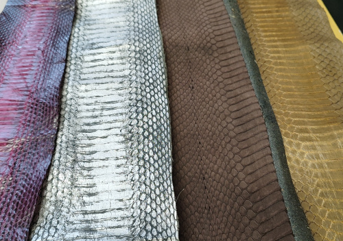 Кожа змей Разные цвета фото 16